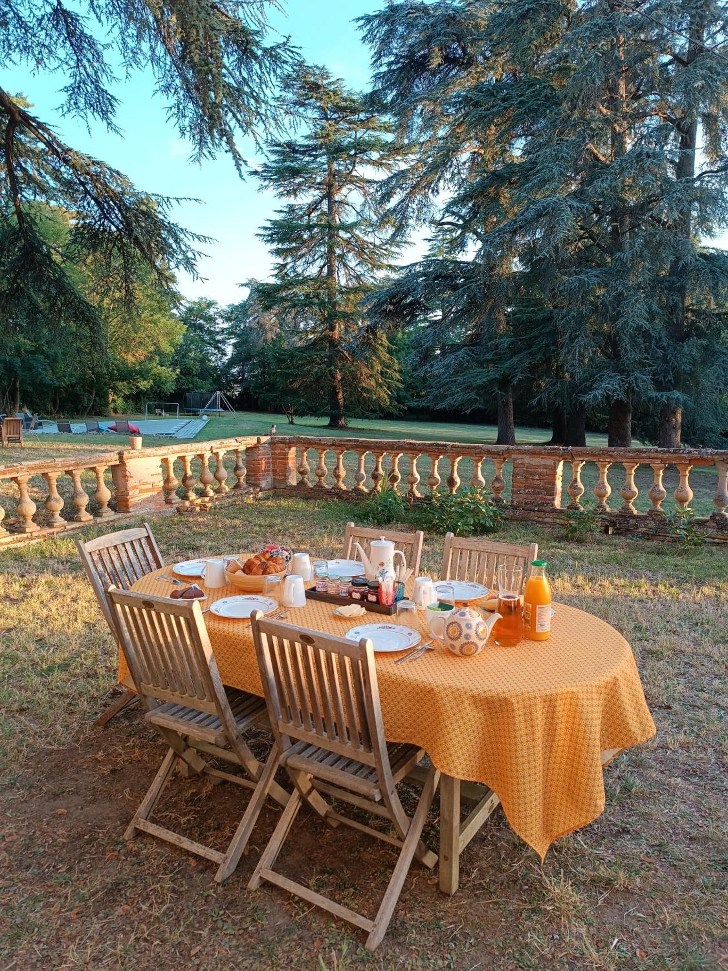 Hotel Le Jardin Des Cèdres Lavaur  Esterno foto
